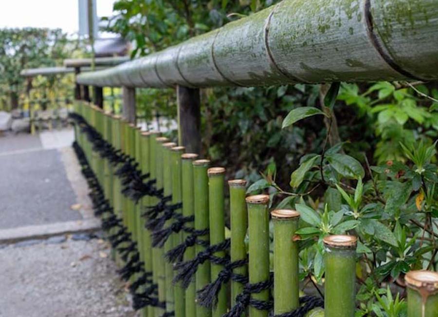 Bamboo Railing
